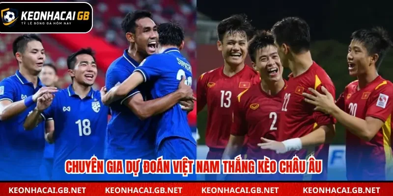 Chuyên gia dự đoán Việt Nam thắng kèo châu Âu